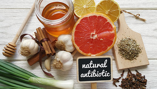Natural antibiotics reccomnded by Cary chiropractor